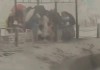 “人在跑魂在追！”青海茶卡盐湖景区遇暴风雨，游客挤凉亭躲避，回应：已采取应急措施