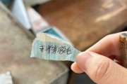 免费在线测算www.jixiangqiming.vip:在线测算感情姻缘www.jixiangqiming.vip-这个夏天，我不想做「腋下管理」了