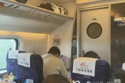 乘客吐槽高铁邻座400斤男子致拥挤，12306回应：无法预知乘客体型，“建议现场协商换座”