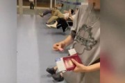 硕放机场回应“外国人将打火机带进候机室”：漏检情况属实，不存在差异化对待